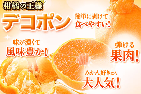 先行予約 デコポン 約5kg ご家庭用 デコポン 訳あり《2027年2月上旬-4月上旬頃出荷》
