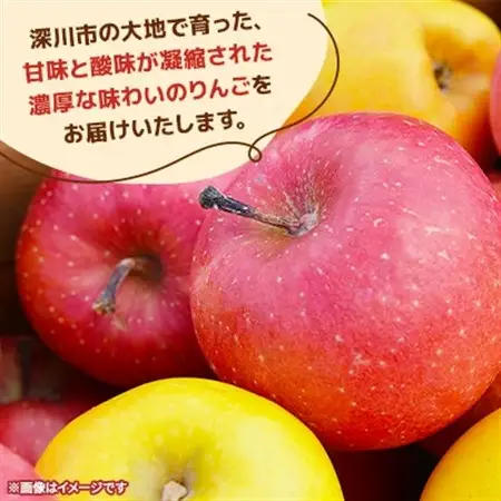 【令和8年産先行受付】北海道深川産りんご(つがる)10kg【ふるさと納税】【配送不可地域：離島】【1298286】