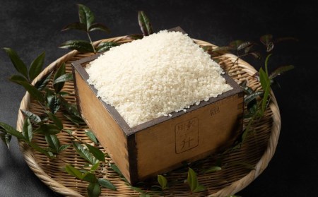 【令和7年産】丹波与作が作るいわやのお米 特別栽培米 5kg　丹波篠山産 こしひかり L003