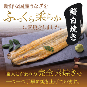 食べ切りサイズ！国内産うなぎの白焼(酒蒸し)100～120g 2尾　計200g以上|うなぎ 鰻 白焼 酒蒸し 食べ切り 茨城県 行方市（AD-130-3）