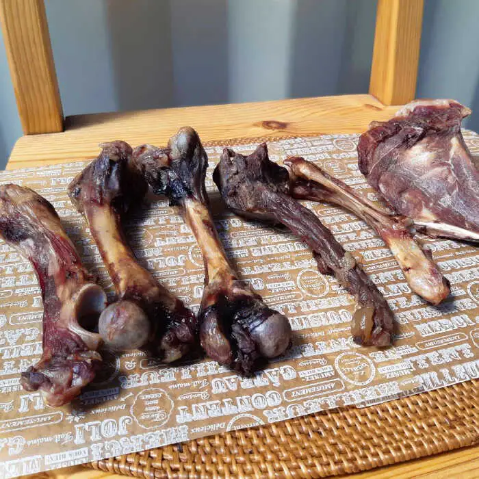 ＜中型犬用＞無添加・天然いのしし骨ガム500g（肩甲骨もしくは橈骨） 吉野ヶ里町/まちづくり会株式会社[FBK045]