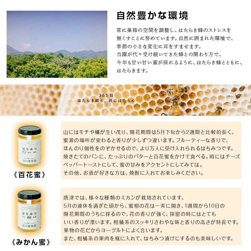 唐津産はちみつ2種セット(百花蜜160g・みかん蜜160g)