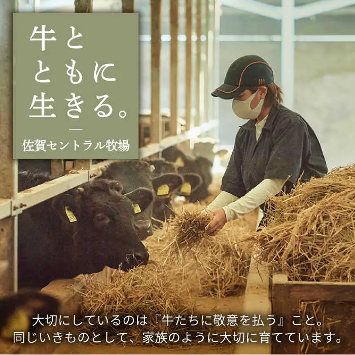 【8回定期便】佐賀牛 お一人様向け 定期便 / 牛肉 [IAH175]