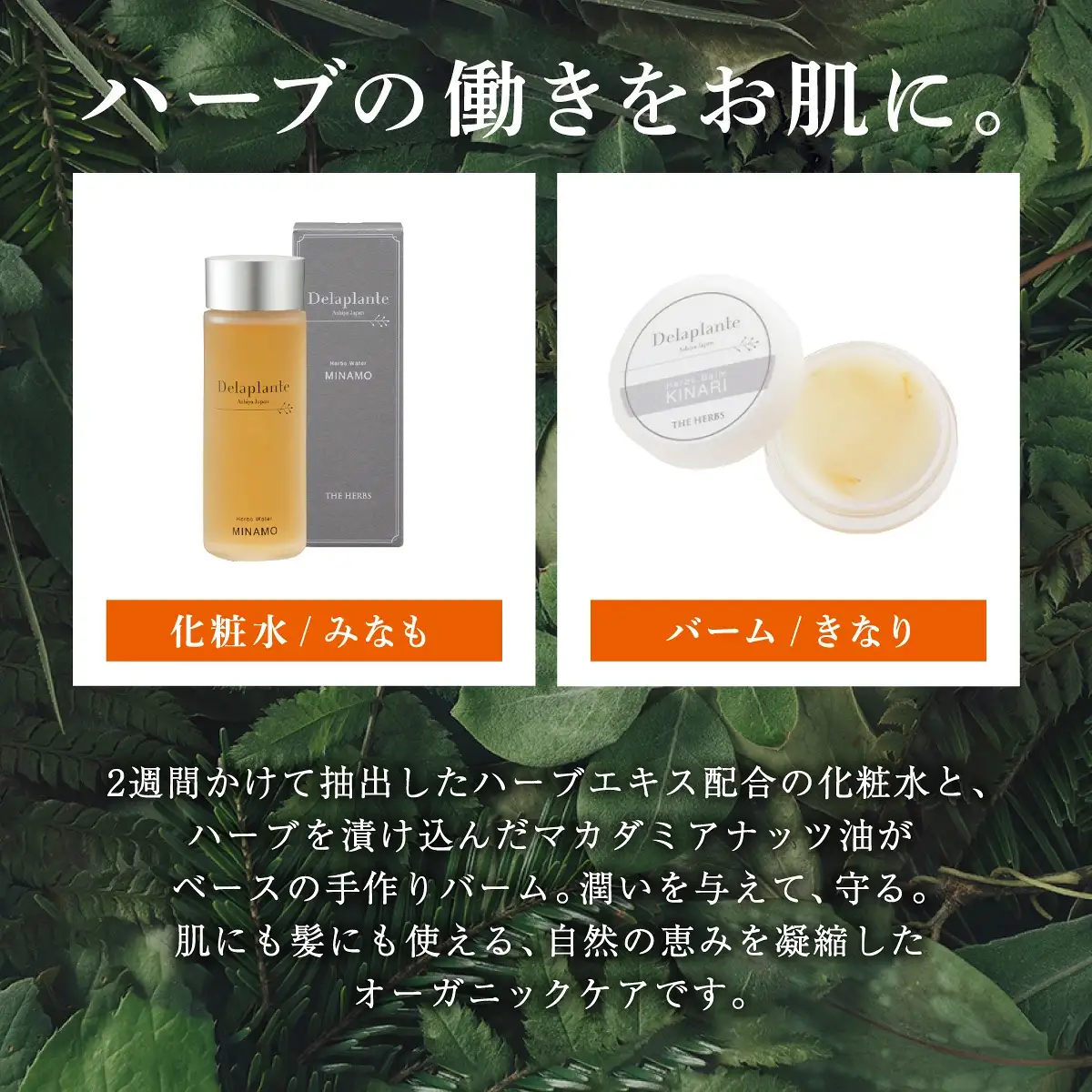 THE HERBS ボタニカルケア（ 化粧水 ・ バーム ）