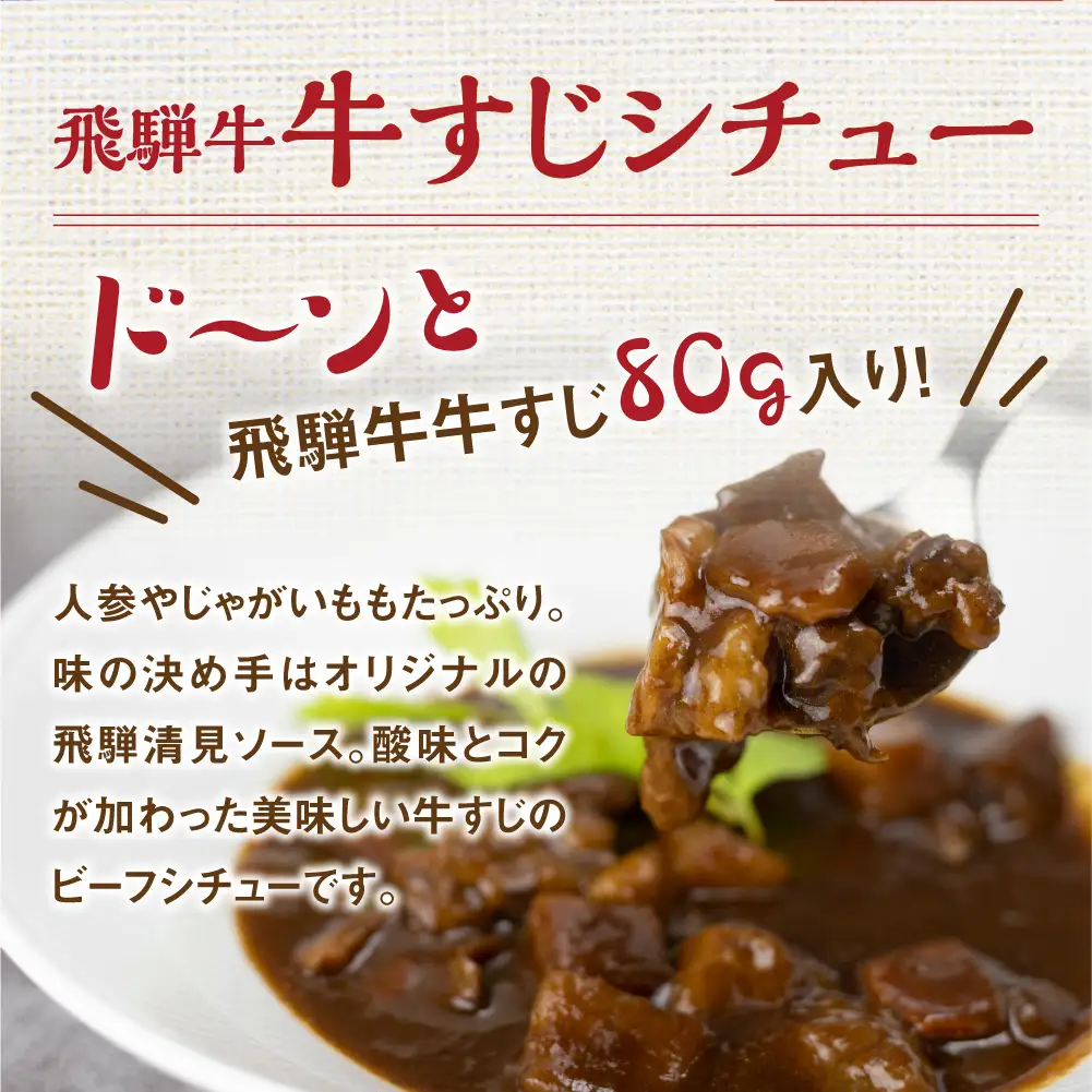 飛騨牛すじシチュー たっぷり400ｇ×3袋 | 極旨 飛騨牛すじ DC016