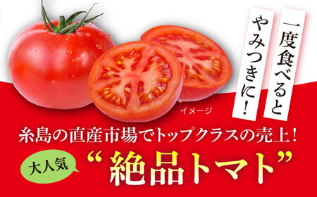 【先行受付】糸島産 絶品 トマト かれん ( 4kg 28玉 前後 ) 【2026年11月上旬以降順次発送】 糸島市 / シーブ [AHC019] 大玉トマト 野菜
