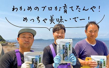 【漁師直送】湯通し塩蔵わかめ300ｇ×10袋【淡路島鳴門海峡原産】