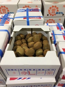 【さぬき讃フルーツ】さぬきキウイっこ 約2kg