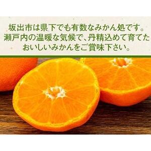 坂出市産「さぬきのみかん」 約5.6kg（約2.8kg×2箱）
