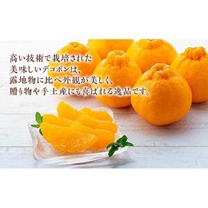 ハウスデコポン 約2.8kg（7～12玉入り） 化粧箱入り