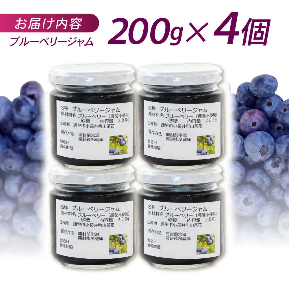 果肉ごろごろ手作りブルーベリージャム 200g×4個 / ジャム ブルーベリージャム ブルーベリー ベリー / 諫早市 / 横林ブルーベリー園 [AHCS001] 