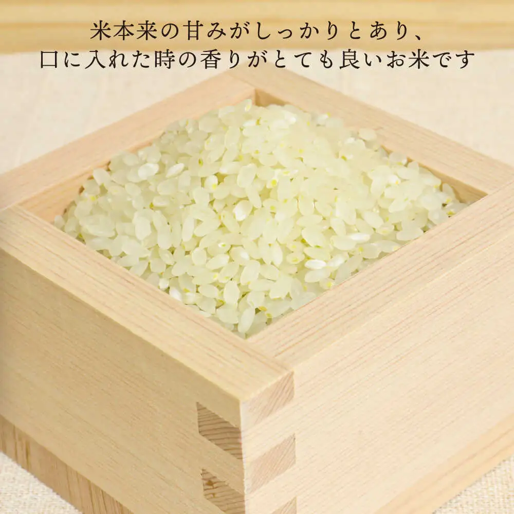 糸島産 夢つくし 5kg　糸島市 / 糸島王丸農園 ( 谷口汰一 )【いとしまごころ】[AAZ001]