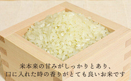 【全12回 定期便】 糸島産 夢つくし 5kg × 12回（月1回）　糸島市 / 糸島王丸農園 ( 谷口汰一 )【いとしまごころ】[AAZ004]