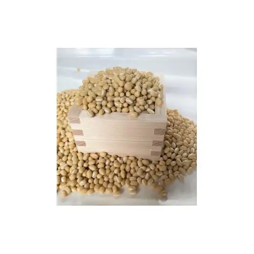 【2026年12月中旬～順次発送】【定期便】備中夢白小豆 大粒サイズ 1kg（500g×2個）×3回