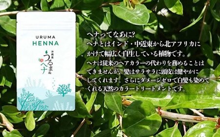 【3回定期便】沖縄産ヘナ「うるまヘナ」1袋（100g）
