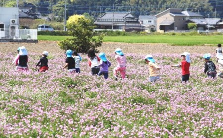 遠賀町への寄付（返礼品はありません） 1口 10,000円