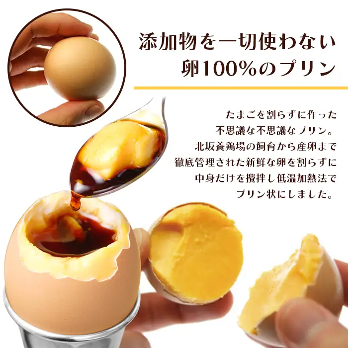 北坂たまごまるごとプリン９個入セット