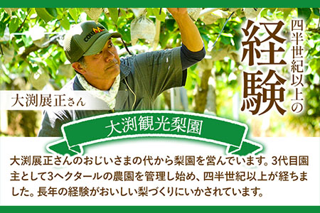大渕観光梨園 梨 完熟梨 ( あきづき 新高梨 新興梨 のいずれか) フルーツ 果物 旬 期間限定 梨 約2.5～3kg (5～8玉) 熊本県長洲町産 《9月上旬-12月中旬頃出荷》