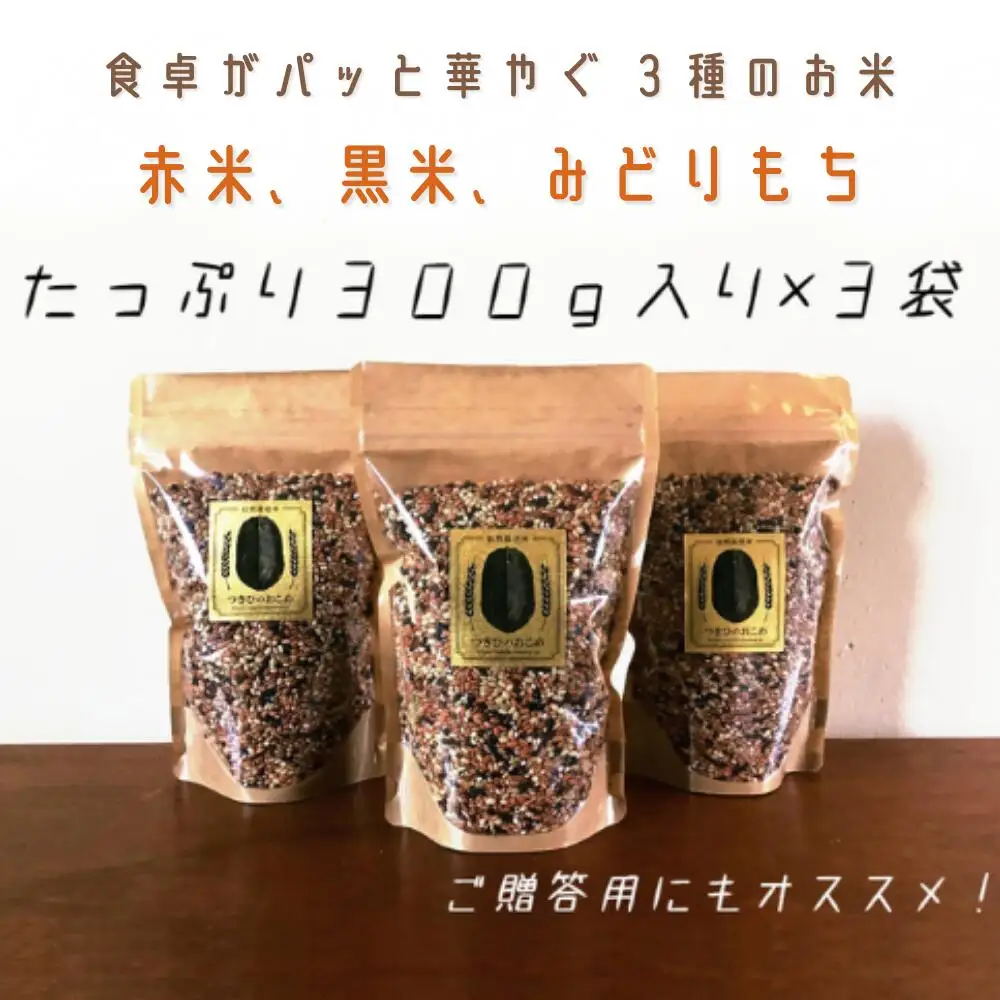 古代米 (先行予約R7年産)自然栽培 古代米ブレンド
