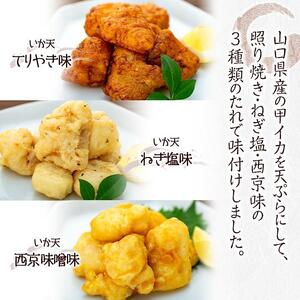 天ぷら 訳あり 食べ比べ 6袋 ( 220g × 各2袋 ) 天然イカの天ぷら
