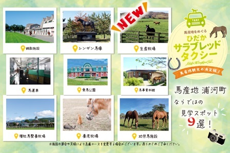 馬産地をめぐる「ひだかサラブレッドタクシー」5時間(1,2名様)コース[41-1104]