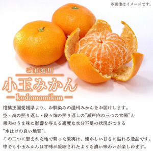 【先行予約】＜愛媛県西予市産 小玉みかん ご家庭用 約3kg＞ 2Sサイズ 訳あり わけあり 果物 フルーツ 温州ミカン 蜜柑 甘い あまい おいしい 美味しい オレンジ 柑橘 特産品 愛媛県 西予市【常温】『2026年10月中旬～12月下旬迄に順次出荷予定』UUB0002