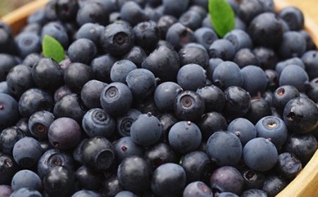 ＜有機JAS認定＞ 冷凍ブルーベリー (1kg) ブルーベリー JAS認定 農薬不使用 有機栽培 冷凍 フルーツベリー くだもの 果物 食品 F20E-848