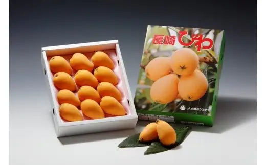 長崎ハウスびわ 500g |  びわ