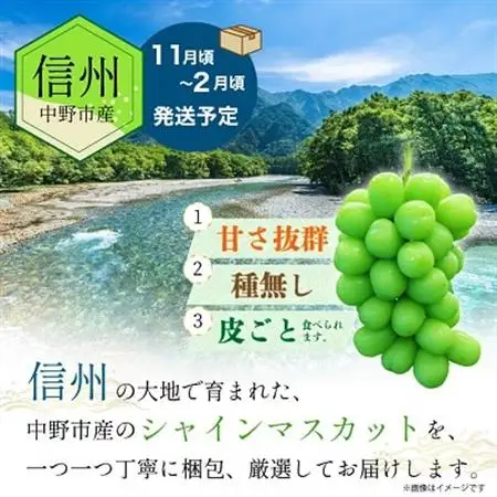 長野県中野市産　冬でも食べれる　シャインマスカット2房(1.3kg以上)【配送不可地域：離島】【1331174】