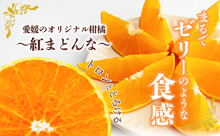 紅まどんな 柑橘 愛媛県産 紅まどんな【赤秀3L〜L 10〜15玉】