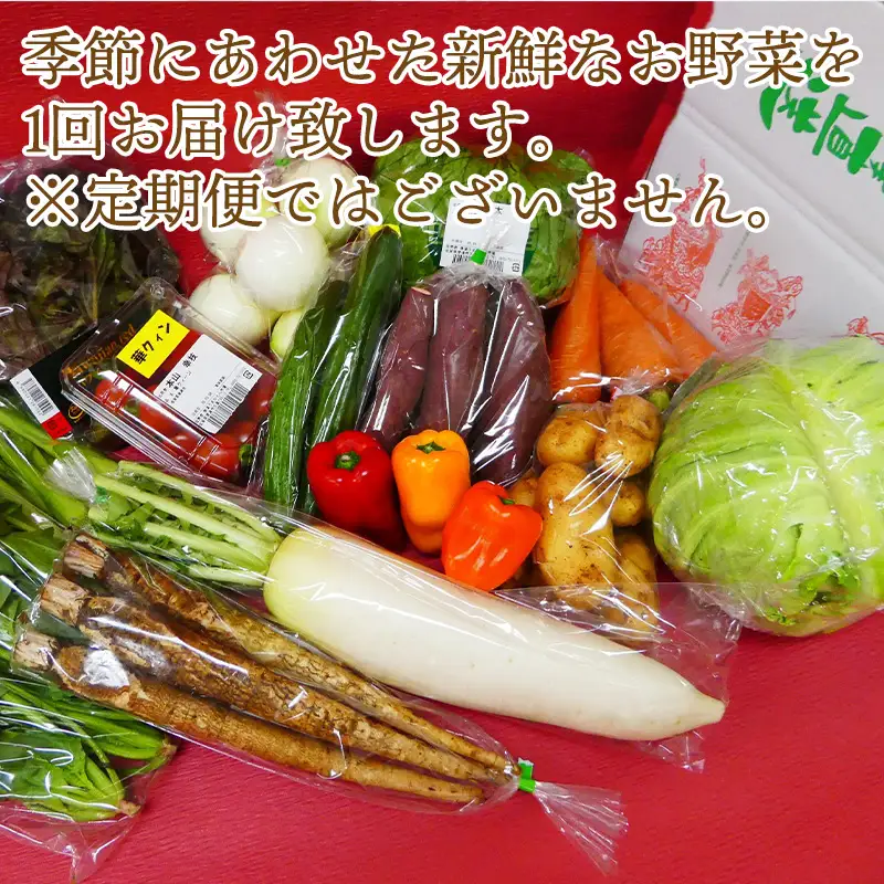 野菜セット 新鮮とれたて旬の野菜 季節の野菜 詰合せ