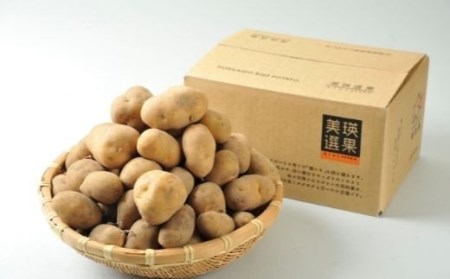 じゃがいも 【令和8年産予約受付】男爵5kg 北海道 じゃがいも  [007-32]