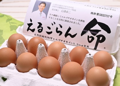 ちゃたまや えるごらん命セット たまご 【 卵 たまご 卵セット たまごセット プリン かりんとう たまごぼーろ 長野県 佐久市 信州 】