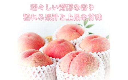 秀品　紀州和歌山産の桃　3玉　化粧箱入　※2026年6月下旬頃〜2026年8月上旬頃順次発送（お届け日指定不可）【uot750】