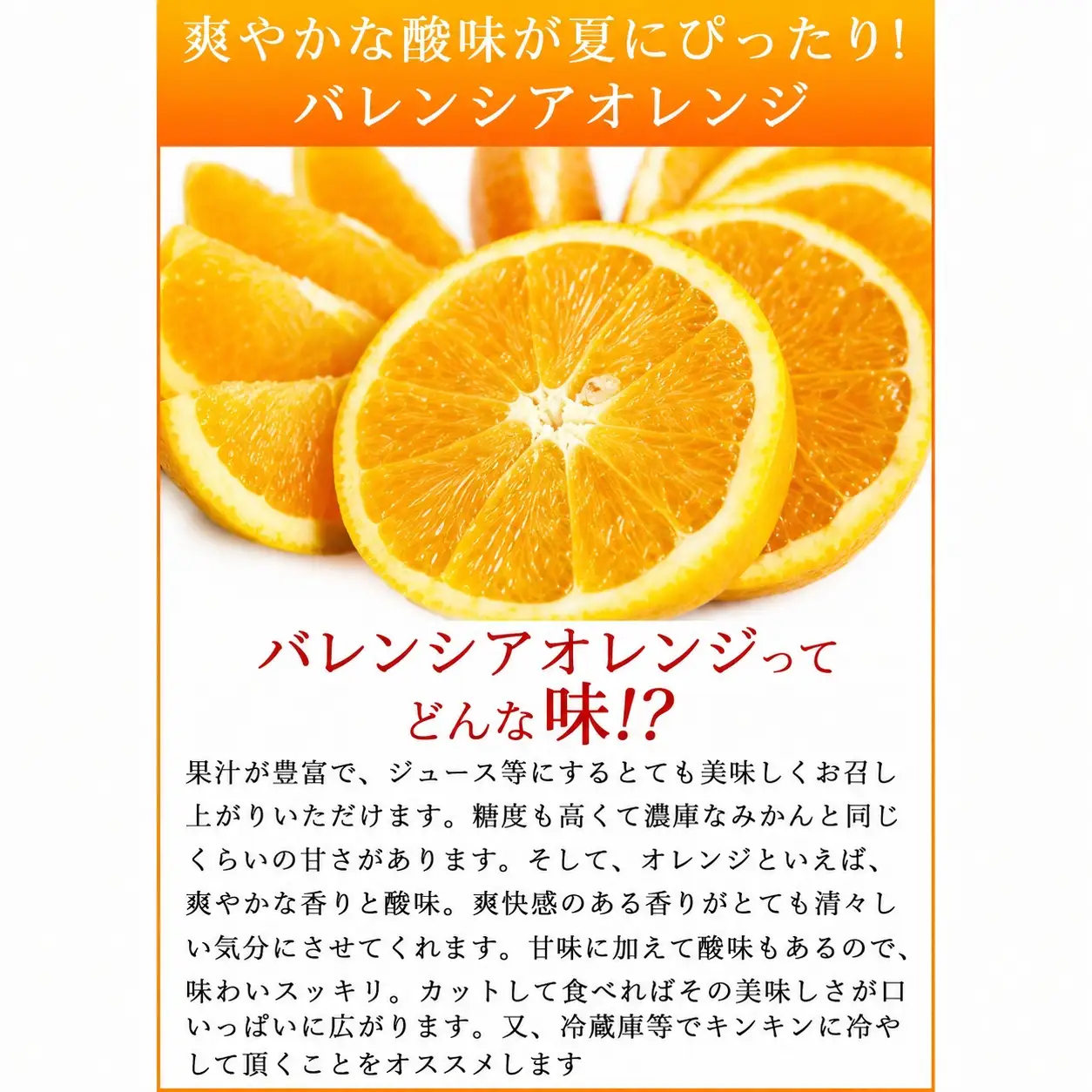 秀品　希少な国産バレンシアオレンジ　2.5kg　※2027年6月下旬頃〜7月上旬頃順次発送（お届け日指定不可）【uot752】