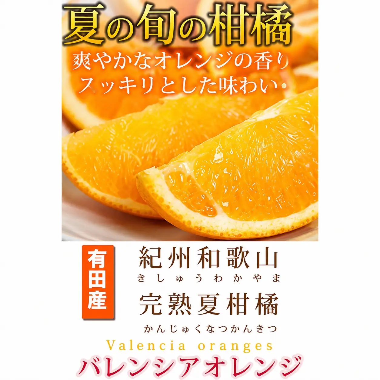 秀品　希少な国産バレンシアオレンジ　2.5kg　※2027年6月下旬頃〜7月上旬頃順次発送（お届け日指定不可）【uot752】