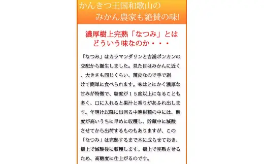 初夏のみかん　なつみ3kg　※2027年4月中旬頃～2027年4月下旬頃に順次発送予定（お届け日指定不可）【uot753A】