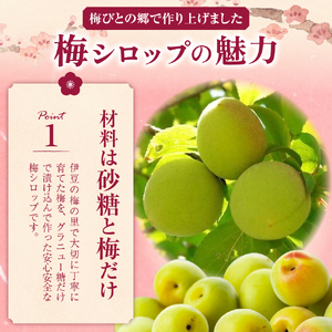梅シロップ500ml×３本（化粧箱・ラッピング込み）セット　015-001