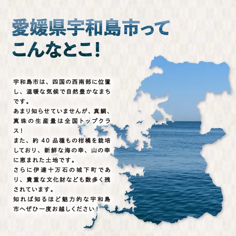 【せとか】せとか約3kgJAB020-009006