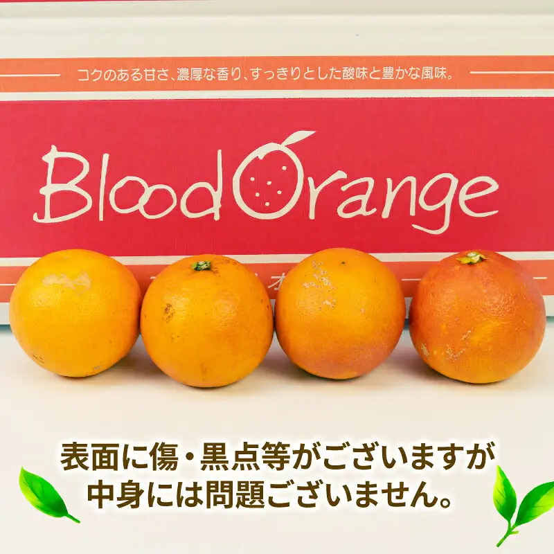 ブラッドオレンジ タロッコ 約 5kg JA オレンジ B020-009007