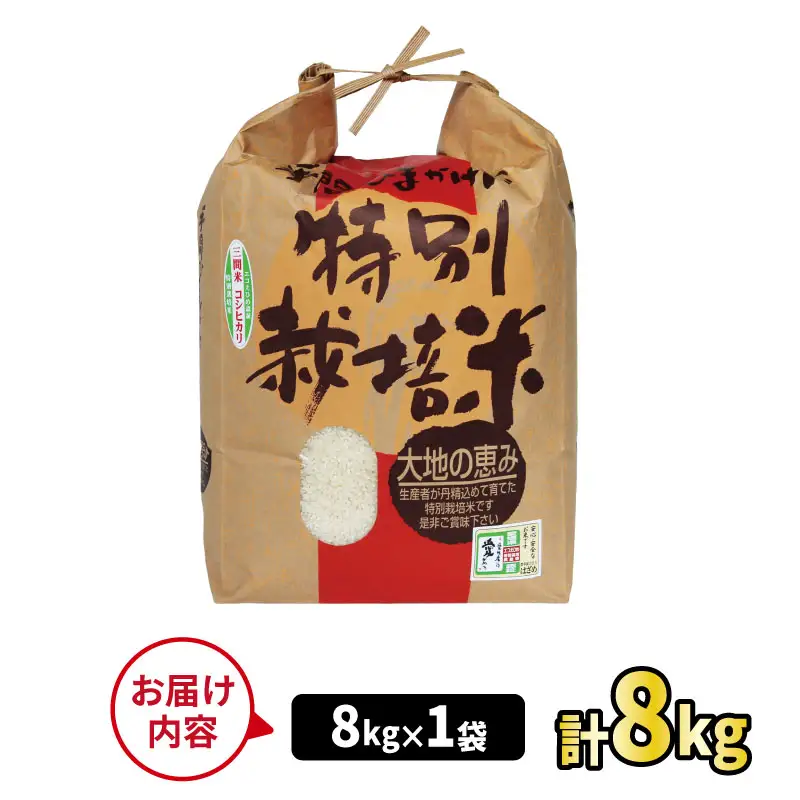 【 新米 】 新米 コシヒカリ 令和8年度産 8kg 農業組合法人はざめ G022-015001