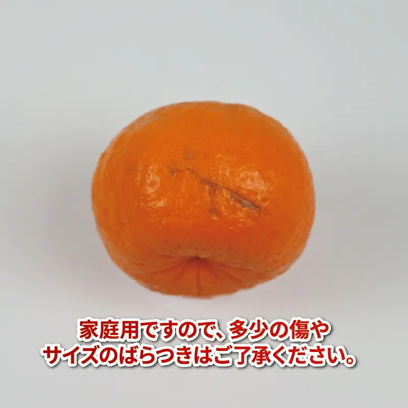 【みかん】 ポンカン10kg 家庭用 平石農園 みかんB011-017003