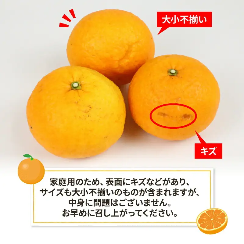 甘夏 12.5kg 家庭用 平石農園 甘夏 B010-017004