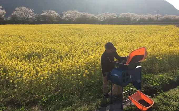えごま油 生搾り 65g ×2本 手作り オイル 御槇米生産協議会 自家製 ごま油 えごま 100％ ピュアオイル オメガ3 油 調味料 調理油 加工品 数量限定 国産 愛媛 宇和島 J012-018004