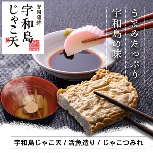 じゃこ天かまぼこAセット3種安岡蒲鉾店 練り物練り物 C015-020001