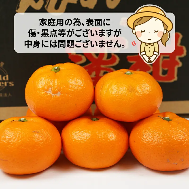 【愛媛みかん】 南柑20号 10kg WF みかん B015-024002