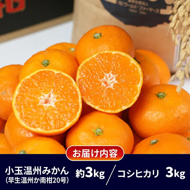 【米】温州みかん小玉約3kg伊達米コシヒカリ3kgWF│B012-024003