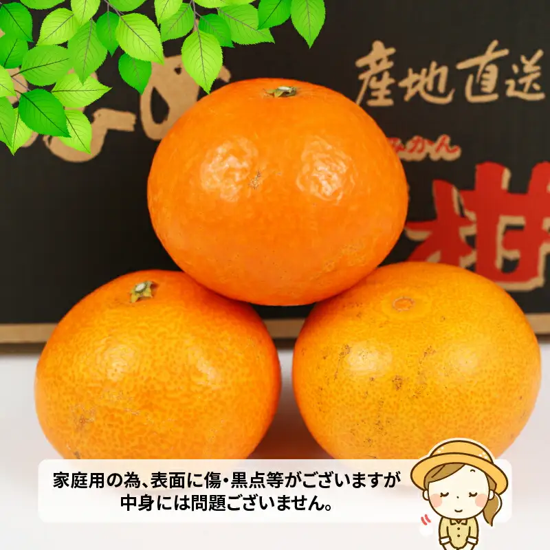 【紅まどんな と同品種】愛果28号 まどんな 4kg ワールドファーマーズ B015-024004