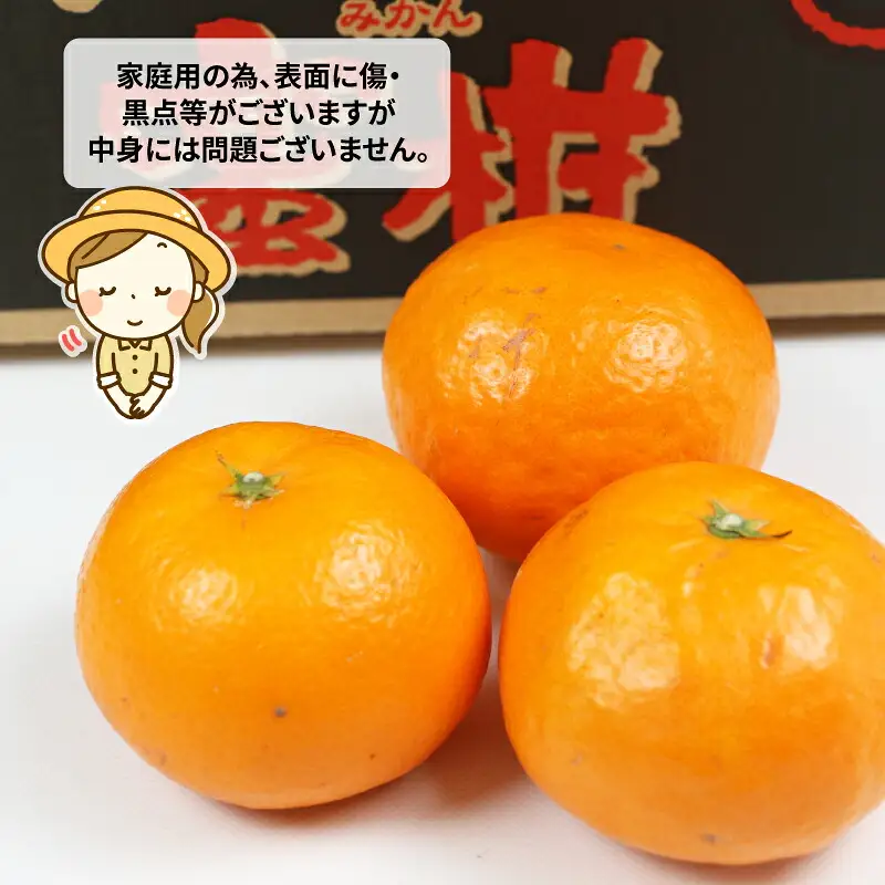 【柑橘】はれひめ4kgWF柑橘B012-024005