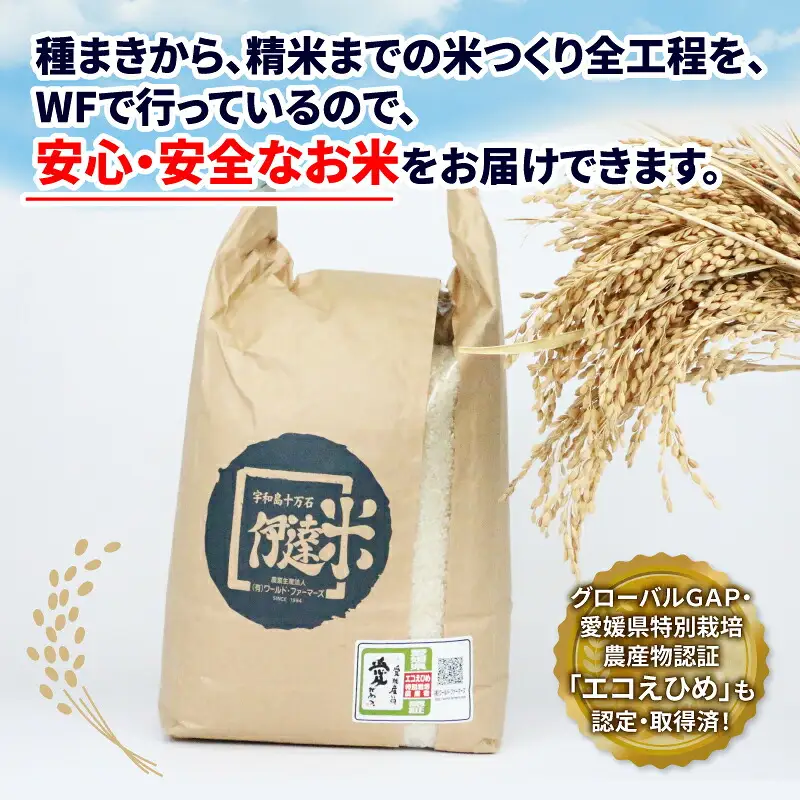 特別栽培コシヒカリ5kg令和7年度産伊達米WF|G015-024011